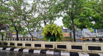 Rumah + Tanah Dijual : Jl. Batikan, Yogyakarta