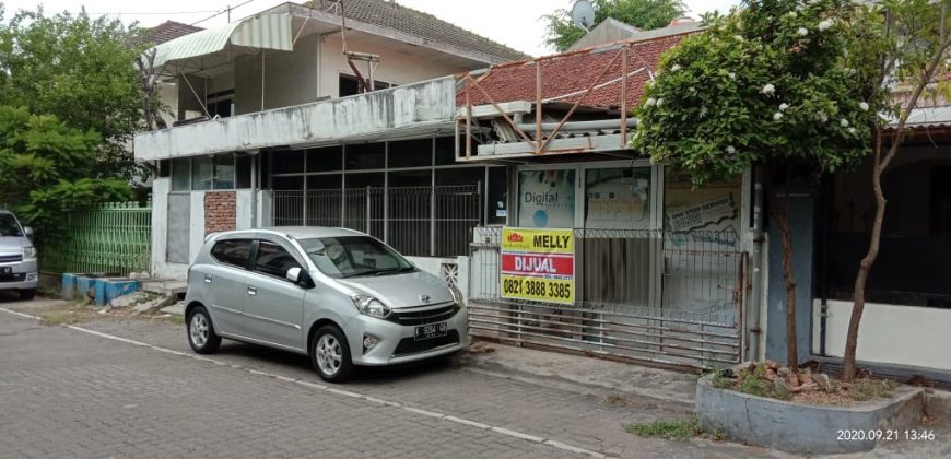 Rumah Dijual dan Disewakan : Jl. Singosari VII, Semarang