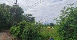 Tanah Dijual : Jl. Jambu, Kedungpane, Kec. Mijen