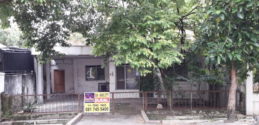 Rumah Dijual : Jl. Halmahera GG II, Semarang