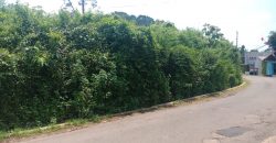 Tanah Dijual : Jl. Serimpi Raya, Pudak Payung Semarang