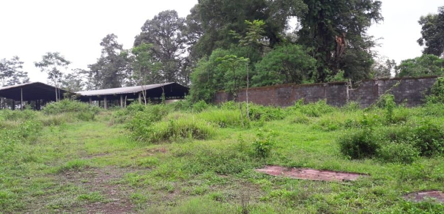 Tanah Dijual : Jl. Polaman, Gunung Pati, Semarang