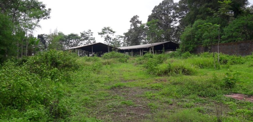 Tanah Dijual : Jl. Polaman, Gunung Pati, Semarang