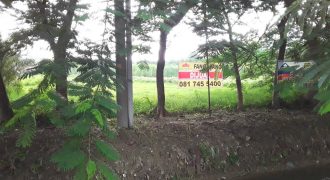 Tanah Dijual : Jl. Sarwoedhi Wibowo (Pucang Gading Raya) Semarang Tanah Dijual : Jl. Sarwoedhi Wibowo (Pucang Gading Raya) Semarang