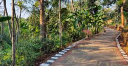 Tanah Dijual : Jl. Kalijaten, Gedawang Banyumanik, Semarang