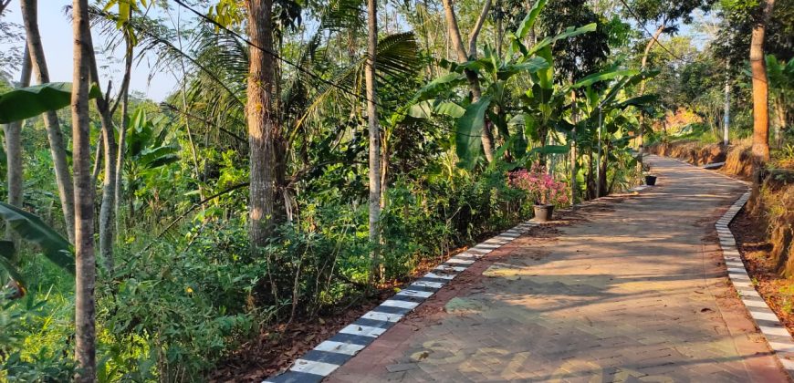 Tanah Dijual : Jl. Kalijaten, Gedawang Banyumanik, Semarang