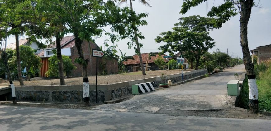 Tanah Dijual : Jl. Dong Biru, Semarang
