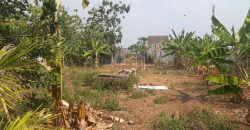 Tanah Dijual : Jl. Gondang Barat, Semarang
