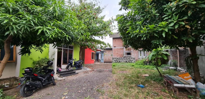 Tanah + Rumah Dijual : Jl. Camar, Mangunharjo Tembalang