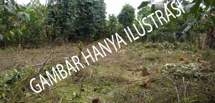 Tanah Dijual : Jl. Brotojoyo Timur Raya, Semarang