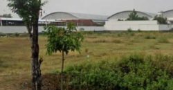 Tanah Disewakan : Jl. Karangawen Mranggen Semarang
