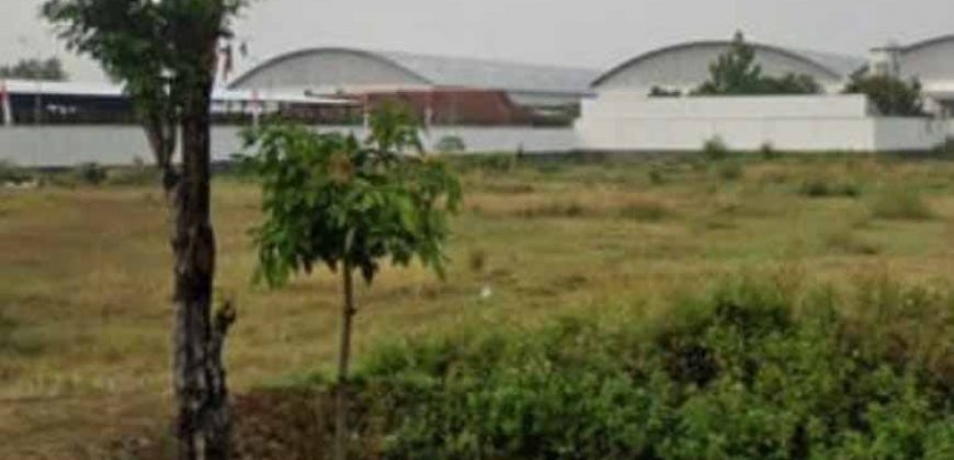 Tanah Disewakan : Jl. Karangawen Mranggen Semarang