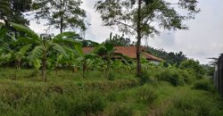 Tanah Di Jual Di Jl. Raya Batang – Semarang