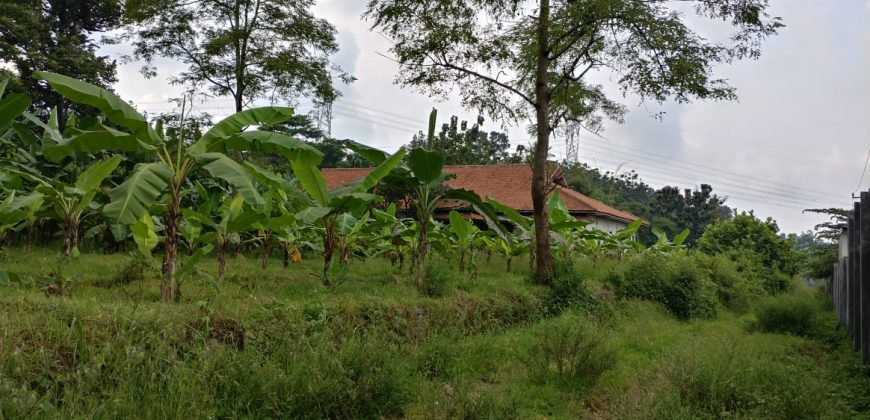 Tanah Di Jual Di Jl. Raya Batang – Semarang