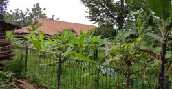 Tanah Di Jual Di Jl. Raya Batang – Semarang