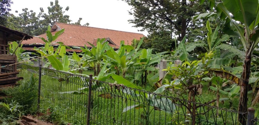 Tanah Di Jual Di Jl. Raya Batang – Semarang
