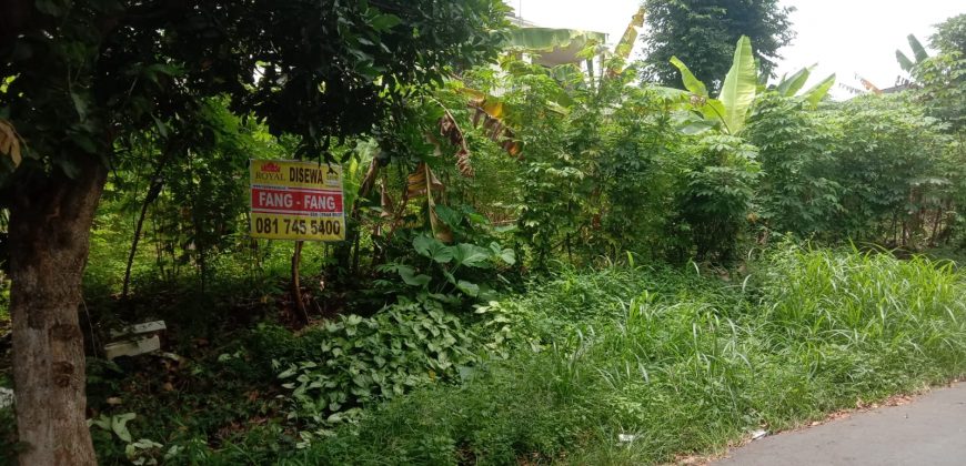 Disewakan Tanah Jl. Bukit Coklat Bukit Sari Semarang
