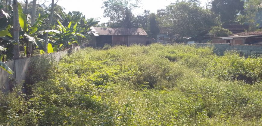 Tanah Luas Lokasi Jl. Lintas Tuntang Ambarawa Bawen